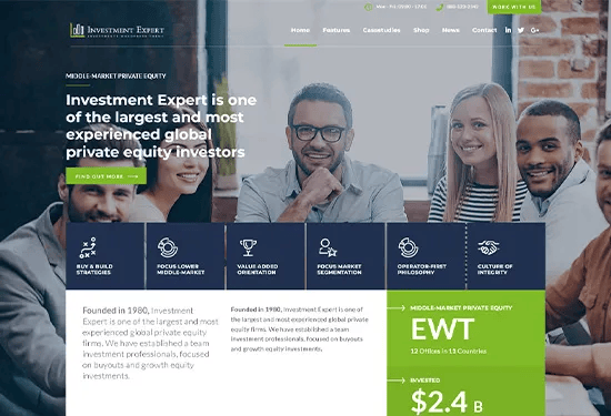 investment busniness theme home layout preview image