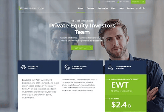 investment busniness theme home layout preview image